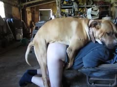 Plump dirty slut wife permeated by dog and enjoying brute sex 